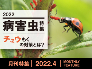 4月特集 病害虫