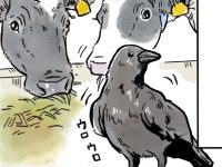 酪農漫画「うしだらけの日々」 第43話 牛舎と野生動物