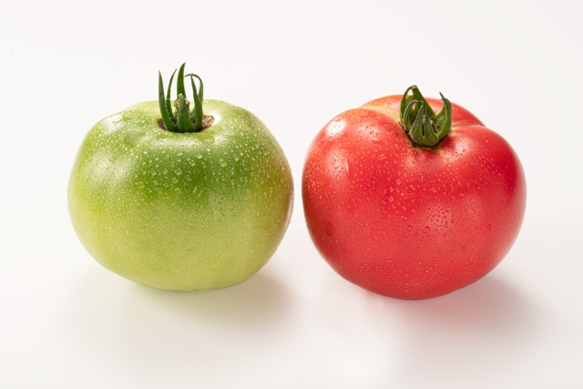 大玉トマトの育て方