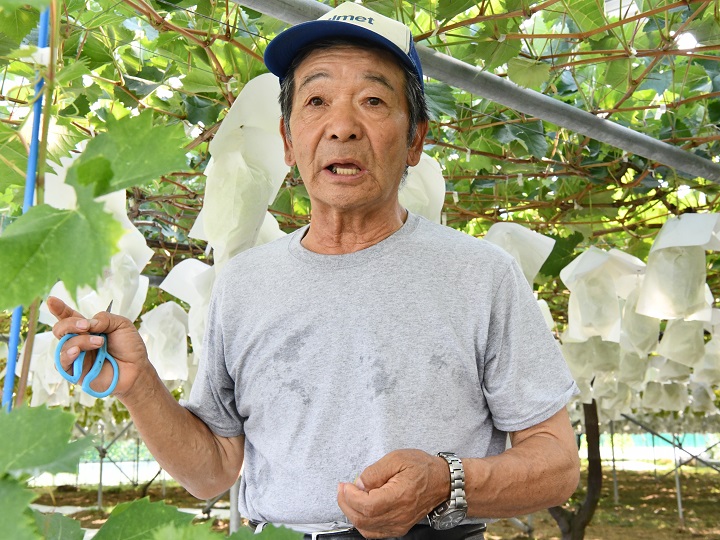 「日本一のブドウ名人」と呼ばれる男が語る、ブドウ栽培の秘訣と情報収集