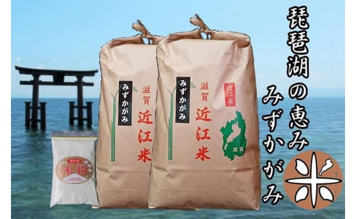 ふるさと納税】滋賀県の新ブランド米『みずかがみ』洋食にぴったり