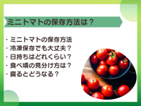 ミニトマトの保存方法は？冷凍しても大丈夫なの？腐るとどうなる？