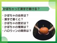 かぼちゃって漢字で書ける？名前の由来・ハロウィンとの関係など解説