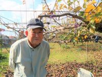93歳ナシ農家の離農を食い止めた⁈　後継ぎは認定農業者の社会福祉法人