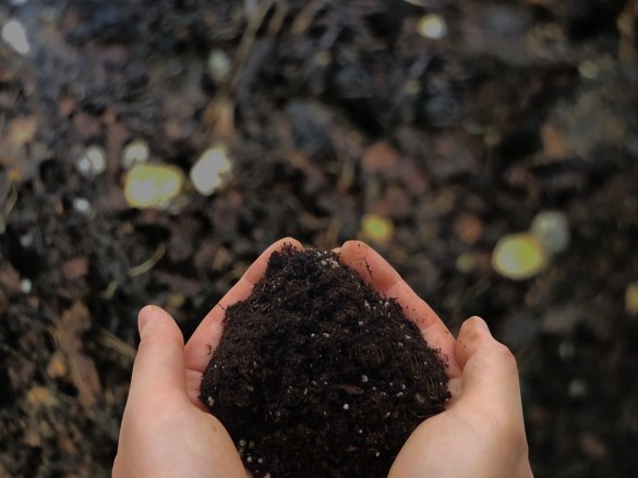 腐葉土とは？ 培養土や堆肥との違い、使い方や注意点、商品選びのコツまで徹底解説