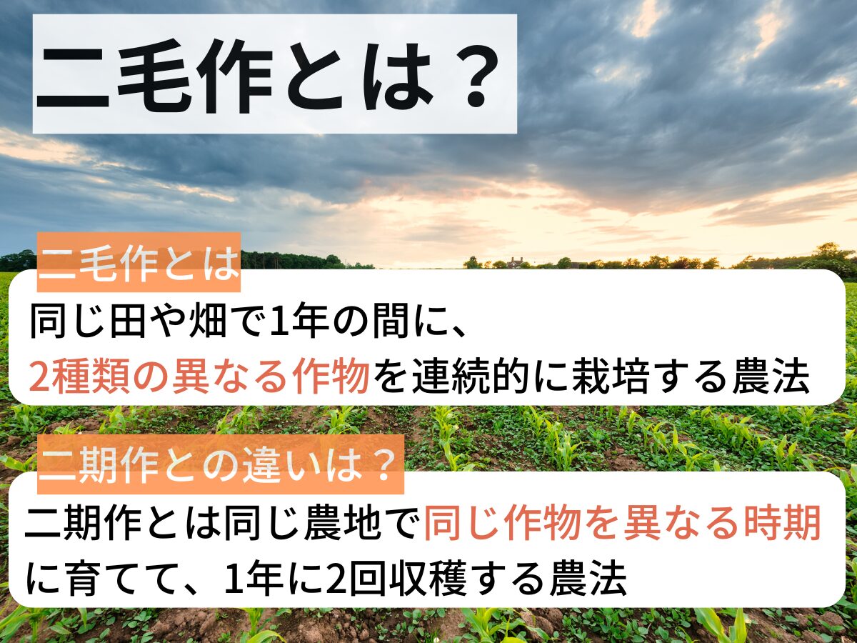 二毛作とは？裏作や二期作との違い、メリット・デメリットまで徹底解説