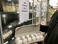 卵1ダースが約1000円。価格高騰の米国で進むケージフリー飼育とは