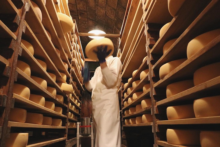 チーズ熟成庫