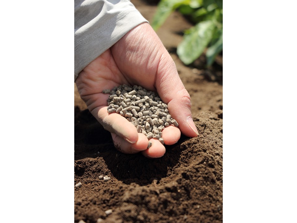化学肥料高騰で注目される汚泥肥料、現状と課題