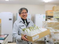 温暖化の進行でコメ収穫量減の危機。新潟大学研究室が新品種開発急ぐ