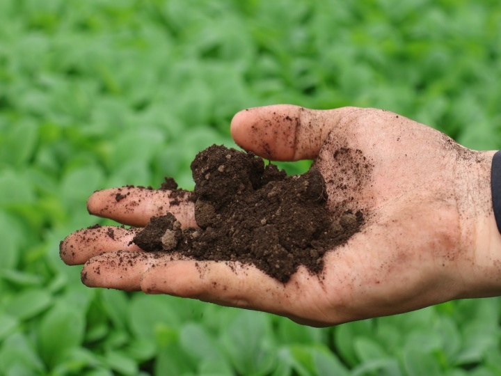 土づくりと同じくらい大切な「水分管理」。肥料使用量減や収量アップにも一役