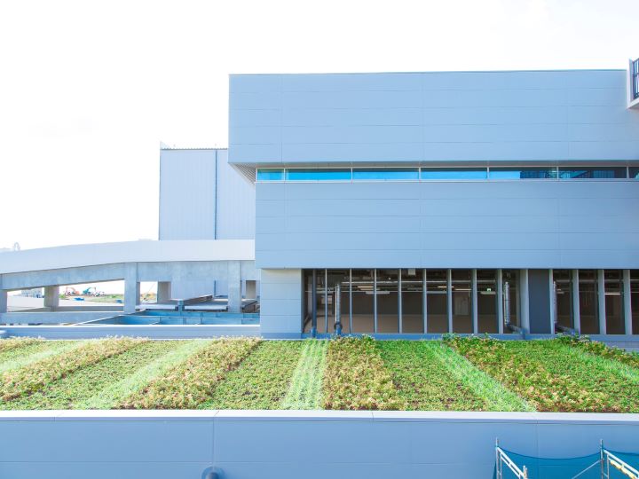 都市部で広がる屋上緑化とは。ビルの屋上で植物を育てるメリットや注意点をプロに聞く