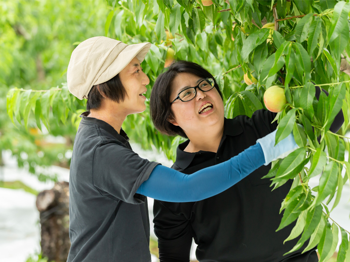新規就農者を支える福島市の「あぐりっしゅサポートパッケージ」。技術的・精神的サポートで成功への道筋を共に