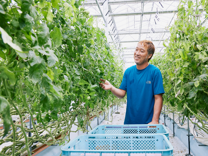 日本の食卓を支えるトマト産地・八代市の生産法人が熱視線！新しいバイオスティミュラントとは？