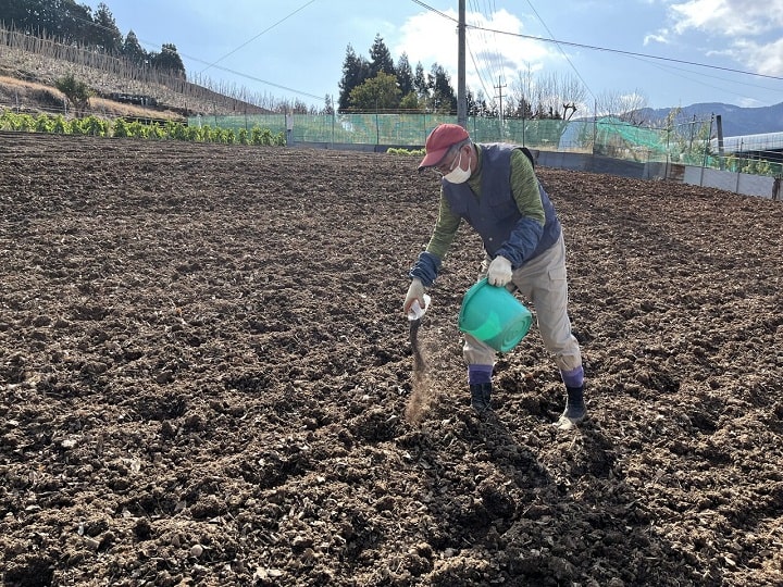 新たな有機肥料「コオロギフラス」、肥料高騰に悩む農家にどう貢献する？