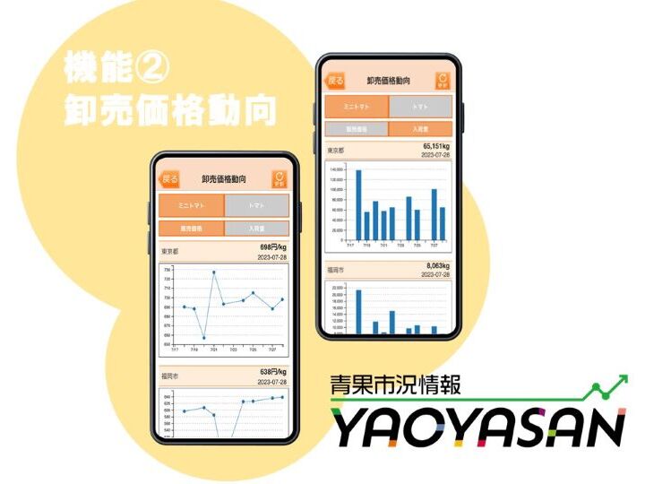 【YAOYASAN】卸売市場における価格や数量の変動を確認！