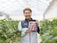 49歳からのネクストキャリア。生きる希望を失った中で出会ったイチゴ栽培