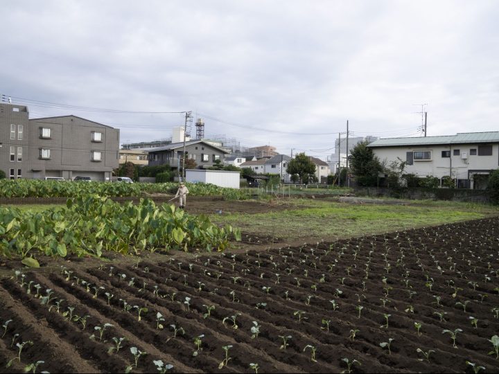 新規就農者が倍増　東京の農業が盛り上がる理由