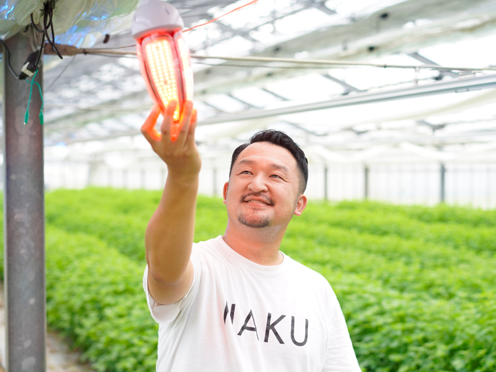 害虫対策は、農薬から照明へ！儲かる農業を実現するジャパンマグネットの防除・育成LEDとは