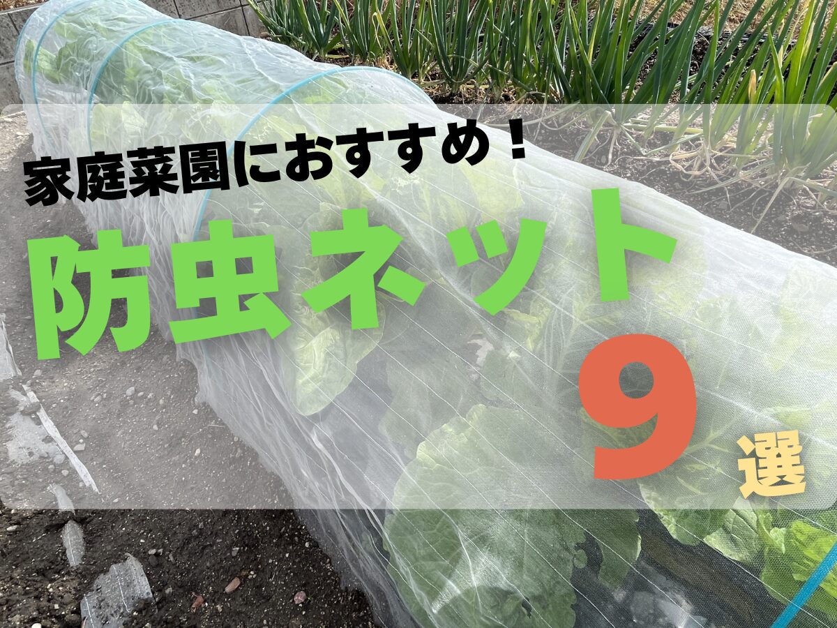家庭菜園におすすめの防虫ネット9選！ 効果や選び方、張り方も解説【家庭菜園のミカタ/防虫ネット編】