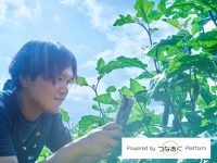 【ユーザーインタビュー】若手農家がアプリを体験。病害虫診断アプリ「EXPESTS（エクスペスツ）」の可能性は？