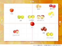 スーパーで買えるおすすめのリンゴ11選。どんなリンゴを選ぶべき？おいしいリンゴの選び方まで解説