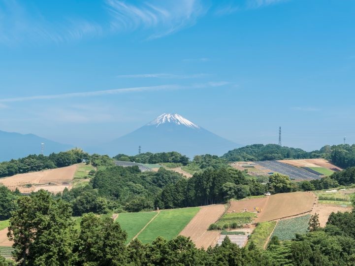 富士山と圃場