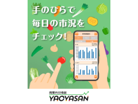 今年の冬野菜の価格をチェック！青果市況情報アプリなら「YAOYASAN」