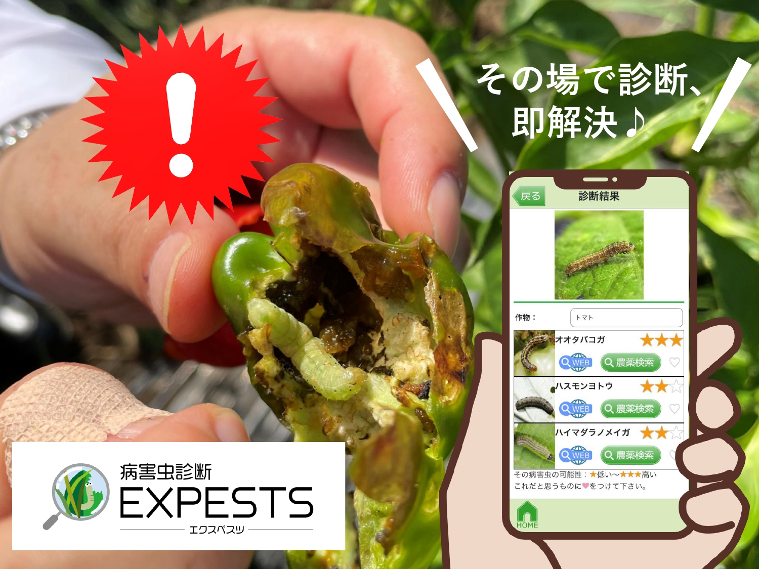 病害虫診断アプリ「EXPESTS（エクスペスツ）」畑で害虫を発見！そんな時はその場ですぐ診断