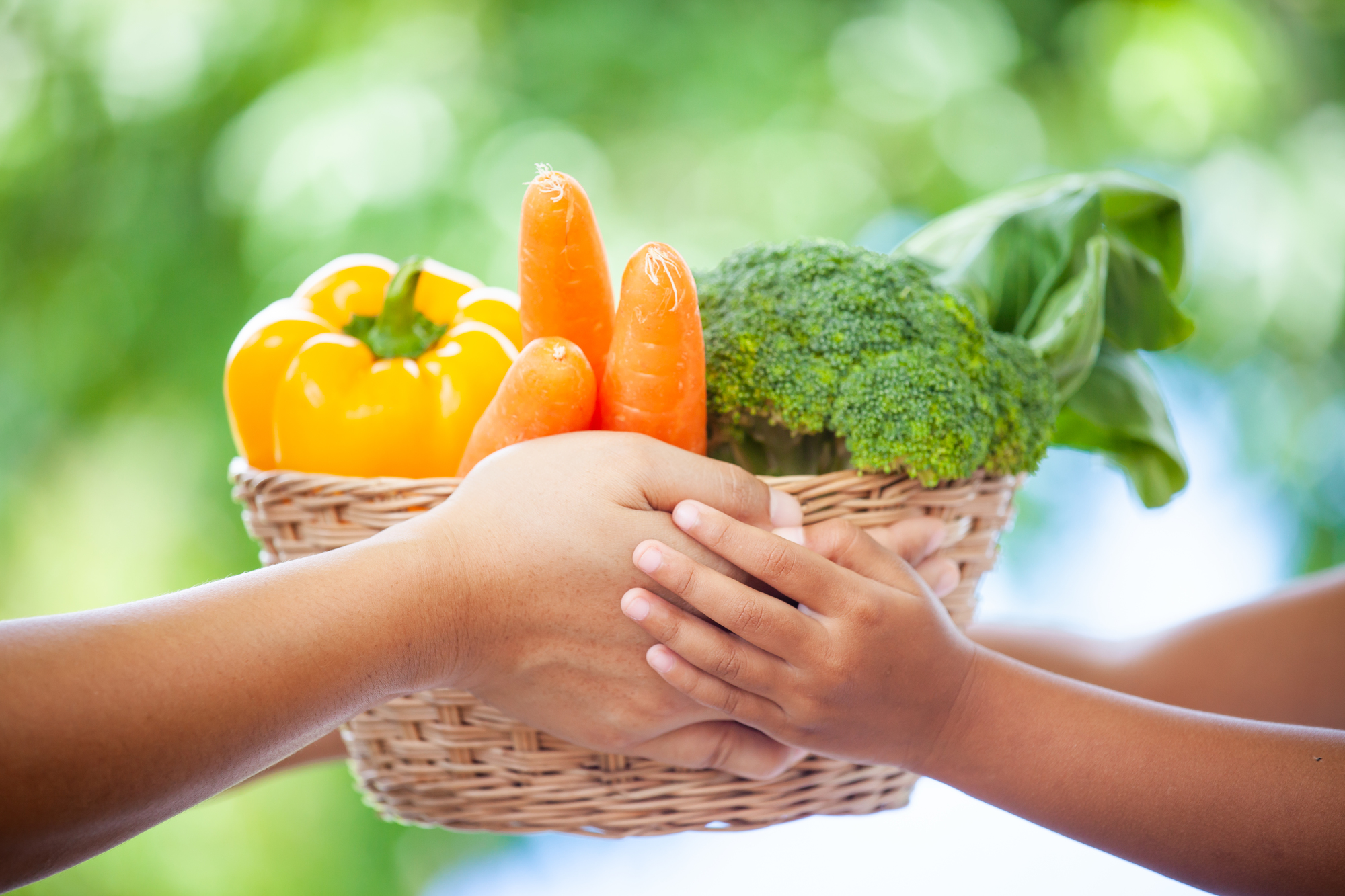 Mother hand and child hand holding basket of vegetables together