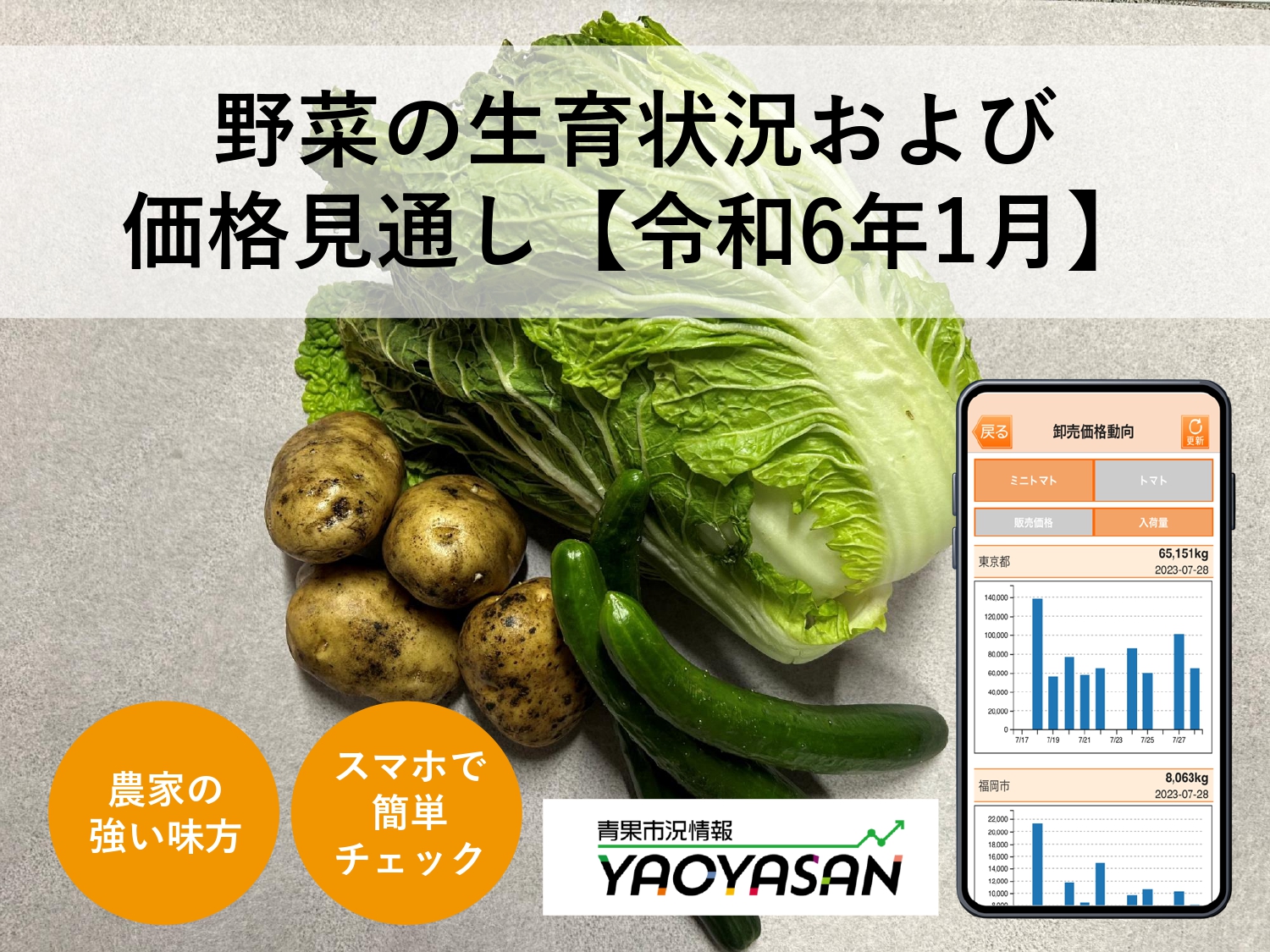 1月の野菜価格見通しが発表されました。青果市況情報アプリ「YAOYASAN」で簡単チェック！