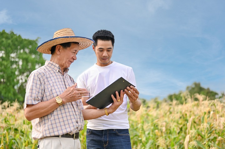 An Asian farmer and farm owner are discussing the harvest plan while working in the cornfield