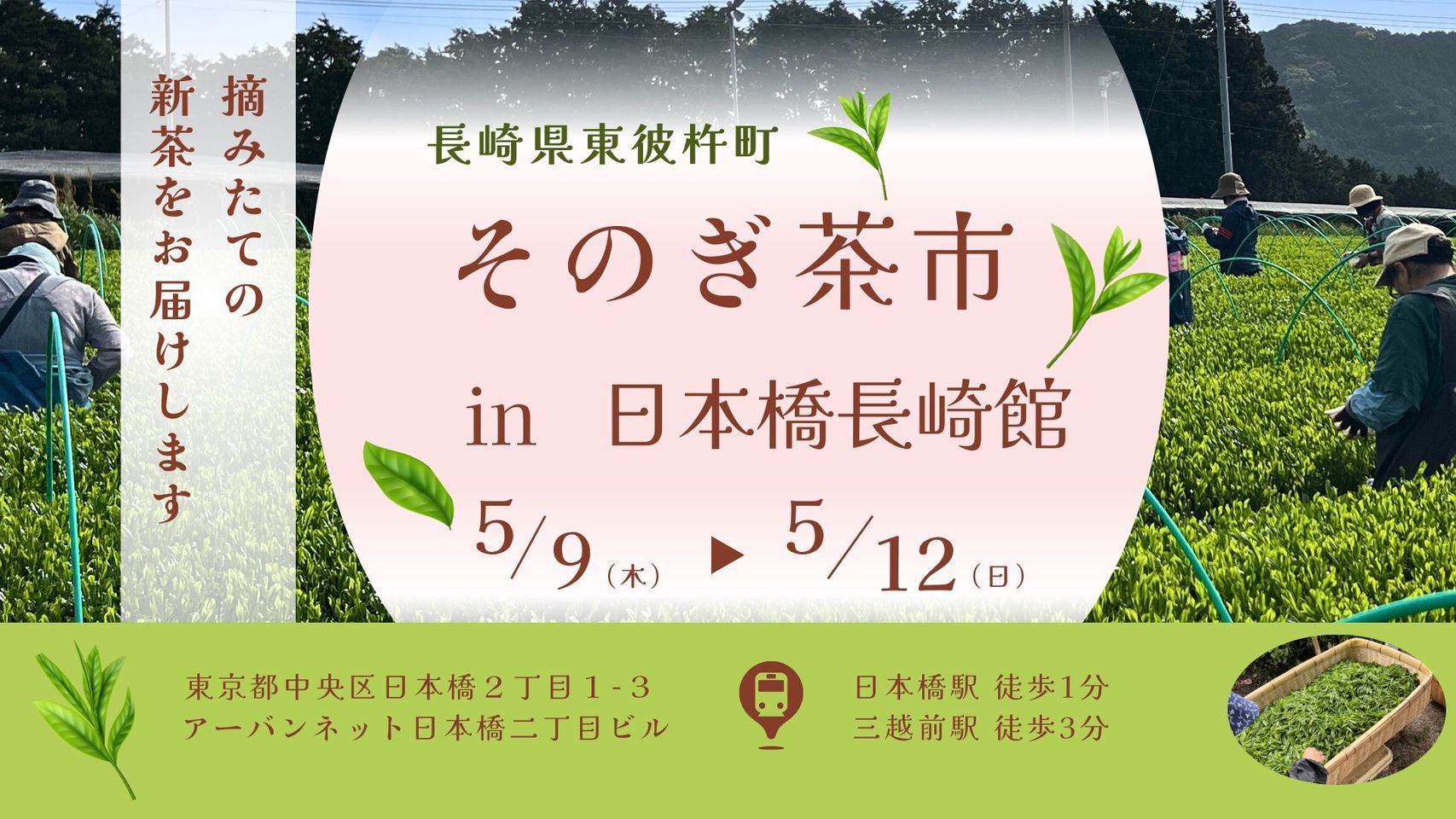 日本橋にて『長崎そのぎ茶』の販売イベントを開催！