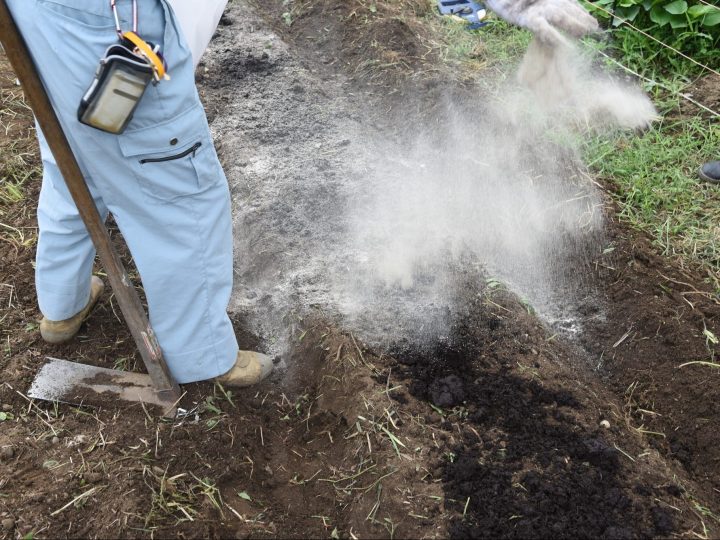 石灰肥料とは？使い道や効果、使用上の注意点について農家が解説