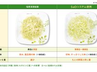 消費期限の課題クリア、カット野菜で産地のおいしさ届く　殺菌システムでカット工程を革新