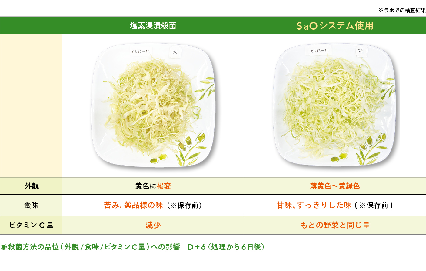 カット野菜の革命――こだわりの製法で「野菜本来のおいしさ」の追求と「消費期限延長」によるフードロス削減に貢献。更なる躍進を誓う食品加工会社フードプラン