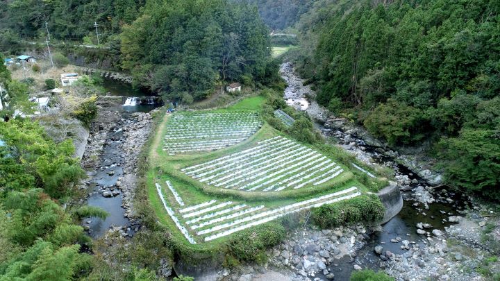 2 自然に囲まれたHARAファームの農地