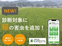 病害虫診断アプリ「EXPESTS（エクスペスツ）」診断対象に稲の害虫を追加！！