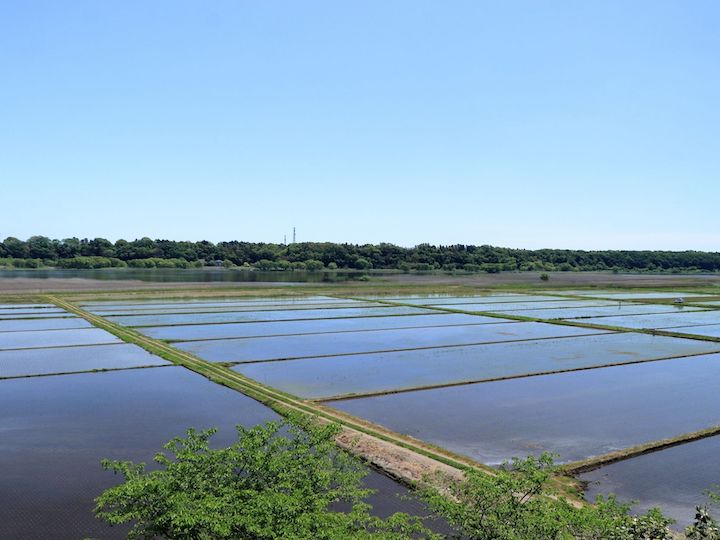 農地を相続したら行う手続き方法　登記・届出の書類、相続放棄の流れも解説