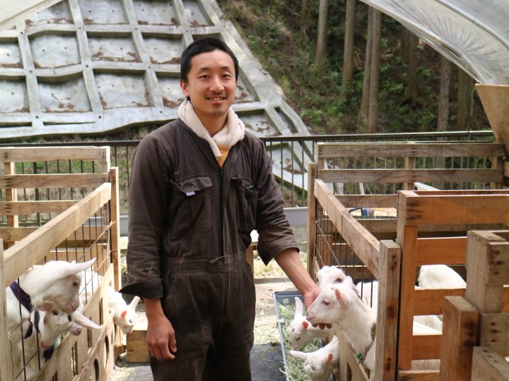 東京でヤギを飼う若きチーズ職人。酪農の新規参入の障壁を越えた道とその経営方針