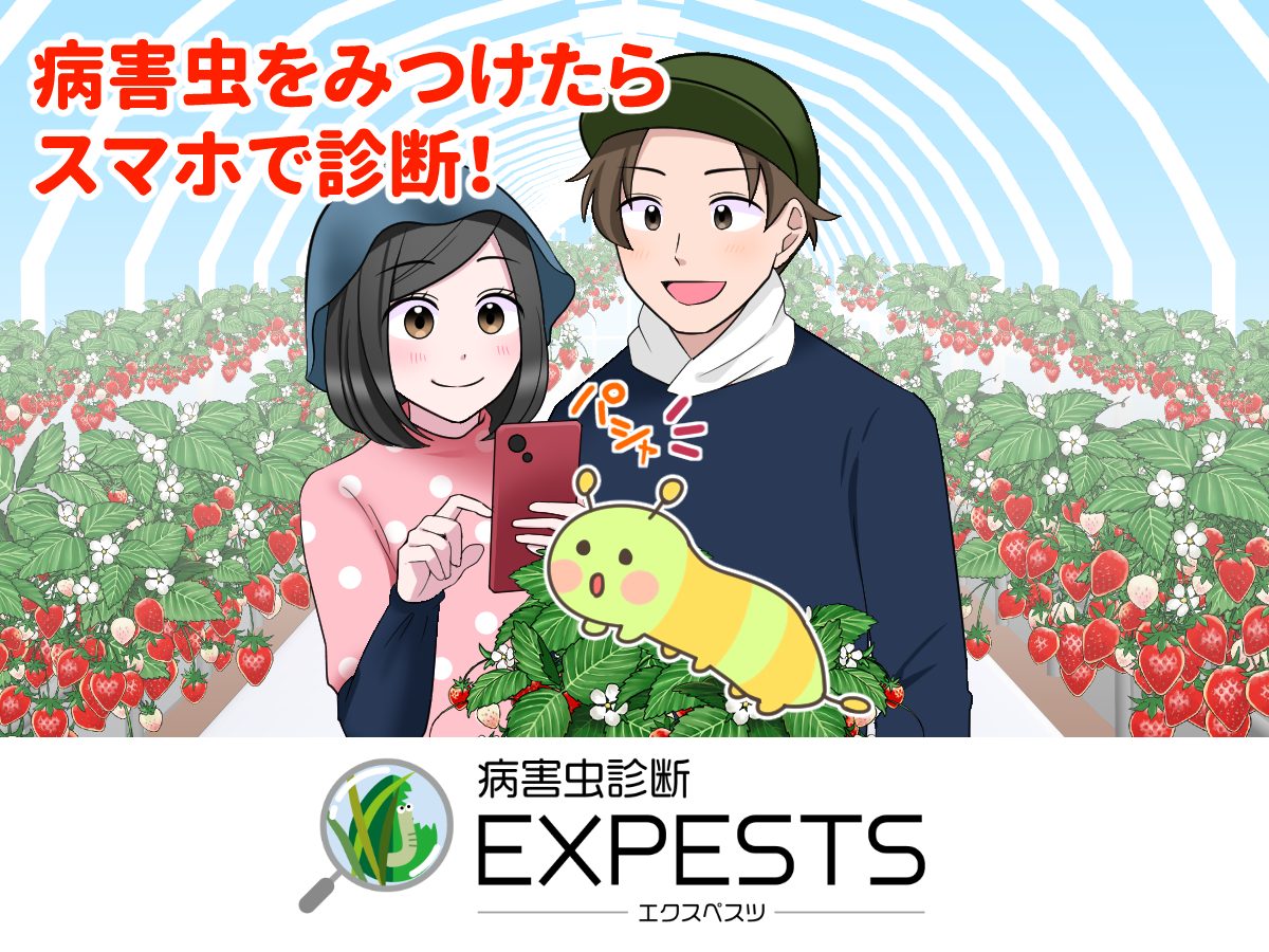 病害虫診断アプリ「エクスペスツ」～【マンガ】イチゴ農家夫婦に忍び寄る虫くん～