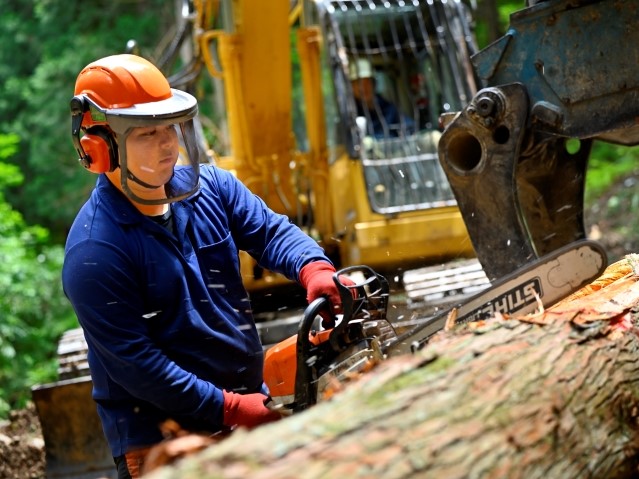 充実の研修制度で「挑戦者」を手厚くサポート。福井で林業を始めよう！