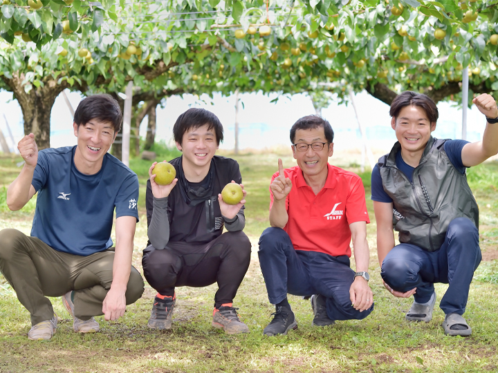 作り手の情熱が詰まった下妻の梨。魅力ある梨産地が就農希望の地域おこし協力隊員を募集