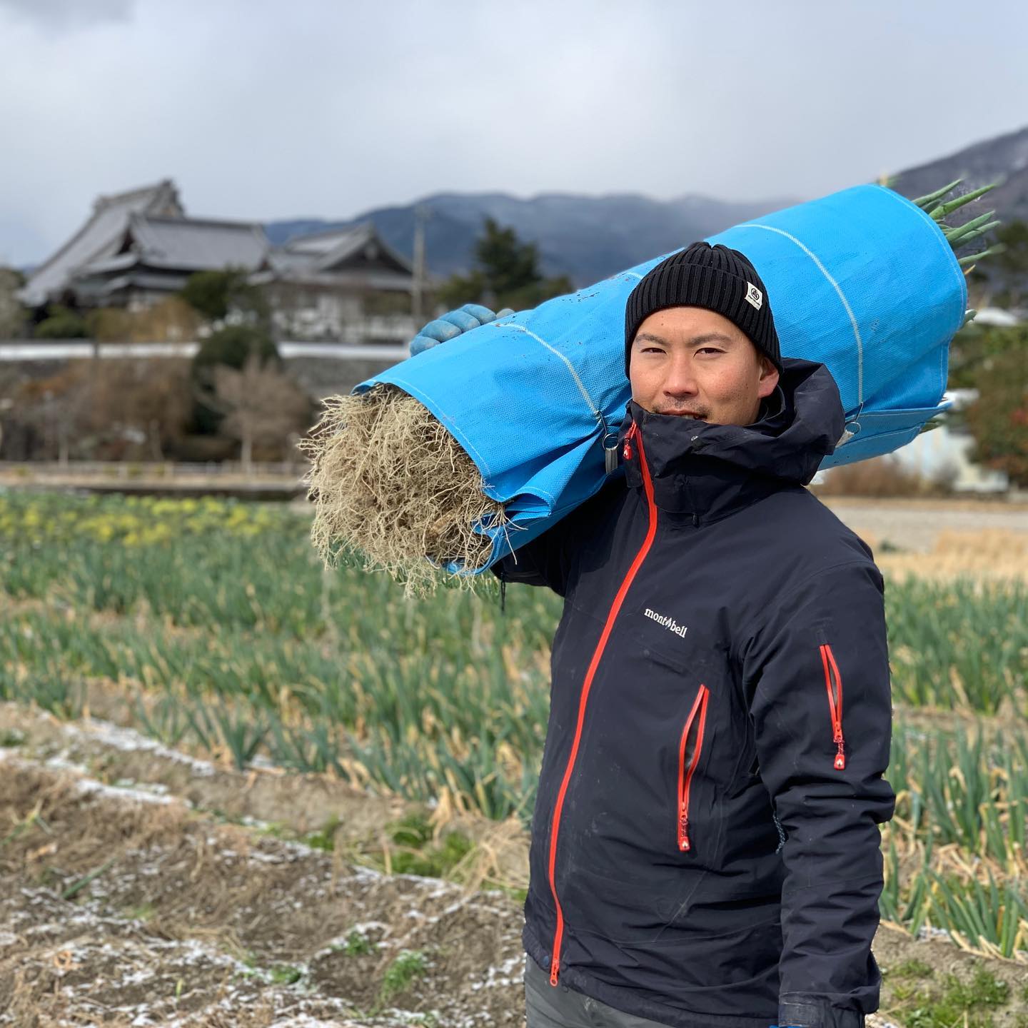 ネギを担ぐ　藤原さん