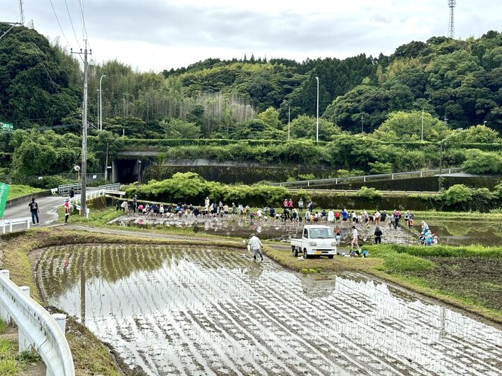 川上地域でのお米作り体験の様子