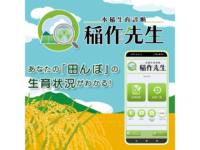 水稲生育診断アプリ 「稲作先生」ついにリリース！！～あなたの「田んぼ」の生育状況がわかる～