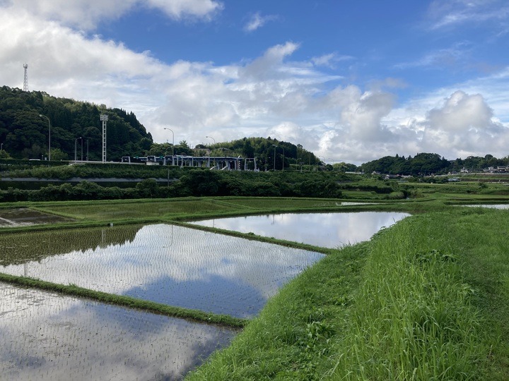 そーやんの地元川上地域の田園風景