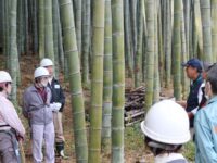 放置竹林問題を解決するのは「人づくり」。竹を切った先にある有効活用とその継続法
