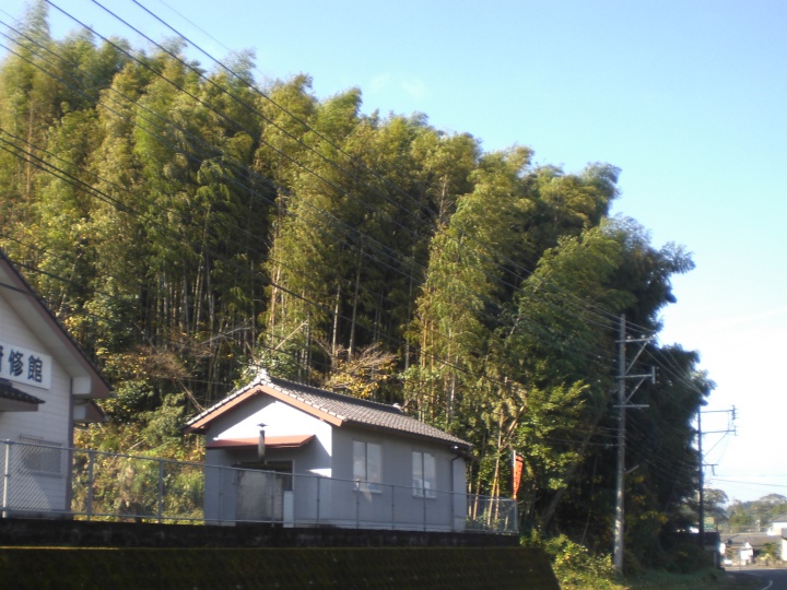 厄介者の放置竹林を、農畜産業から引く手あまたの高品質サイレージに！　飼料高騰時代の救世主としても期待