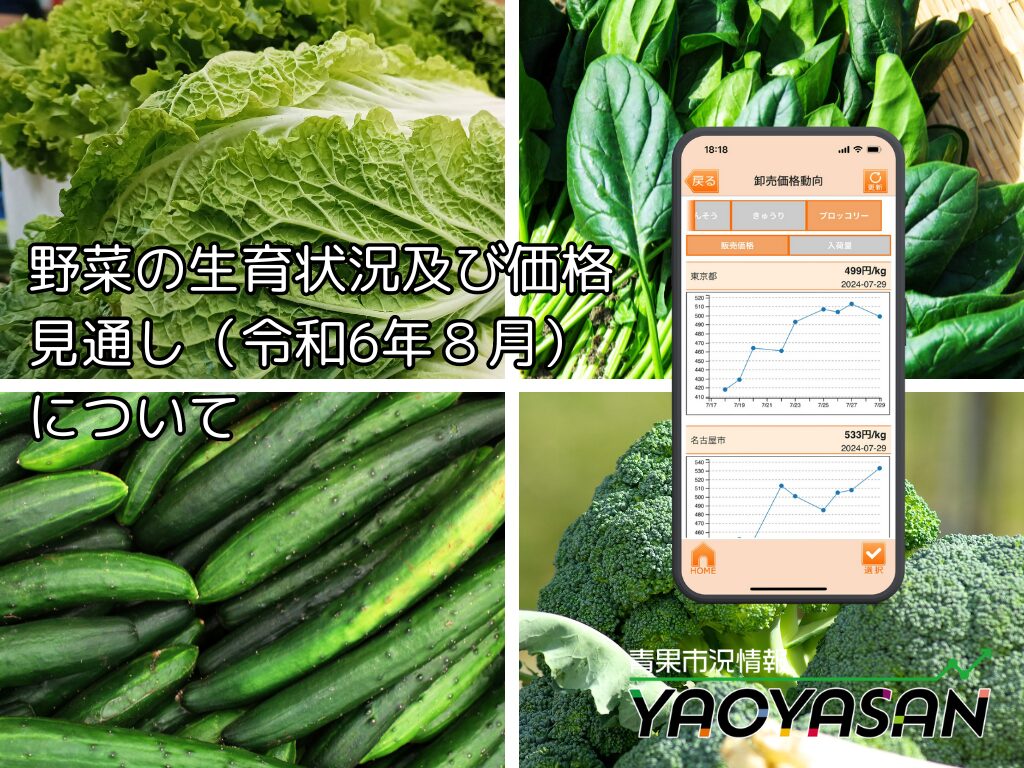 はくさい、ほうれんそう、きゅうり、ブロッコリーは1ヶ月を通して高値が続く！？ 【青果市況情報アプリ「YAOYASAN」】